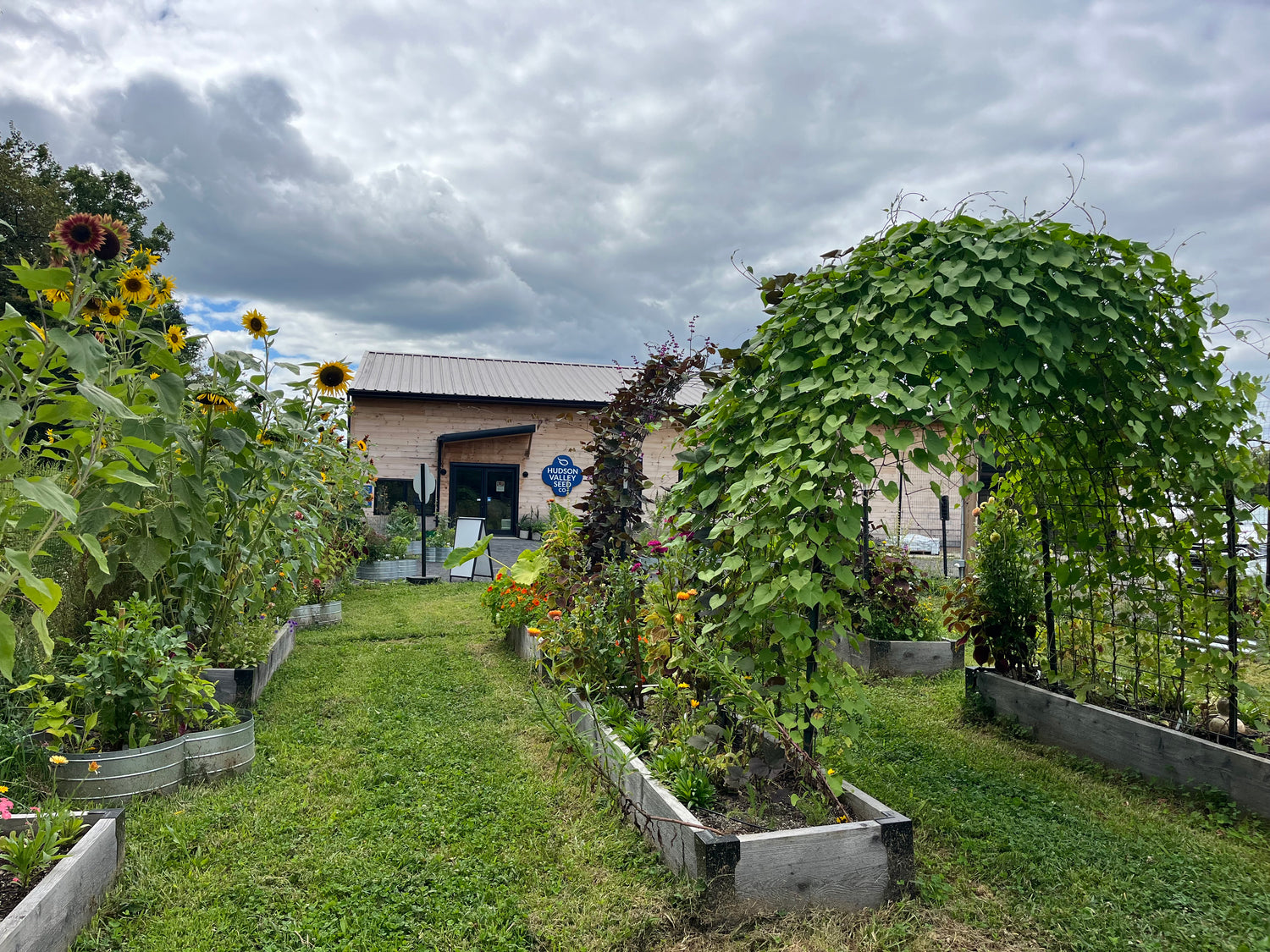 Concerts in the Garden: Brother Jax &amp; Matthew David - 8/21 - 6PM