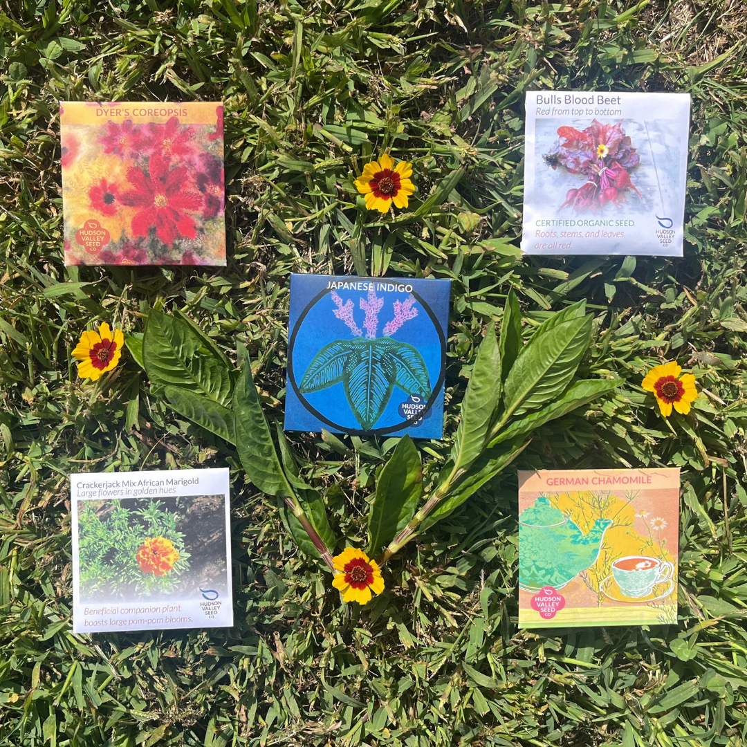Colorful dye garden seed set from Hudson Valley Seed Company, featuring a variety of seeds for natural dye plants.