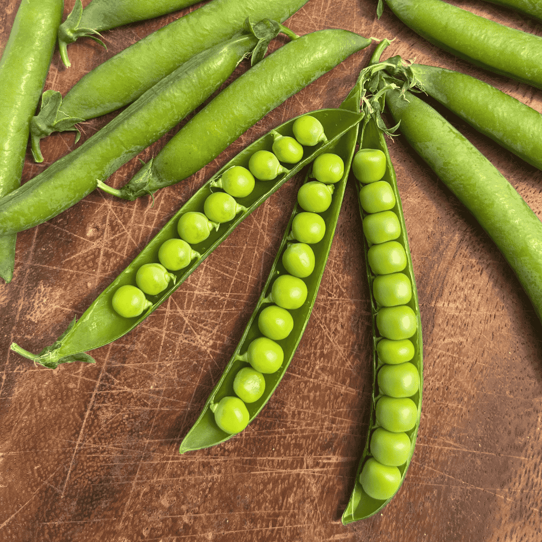 Fresh Green Arrow Shell Pea from Hudson Valley Seed Co., featuring vibrant green pods and lush foliage.
