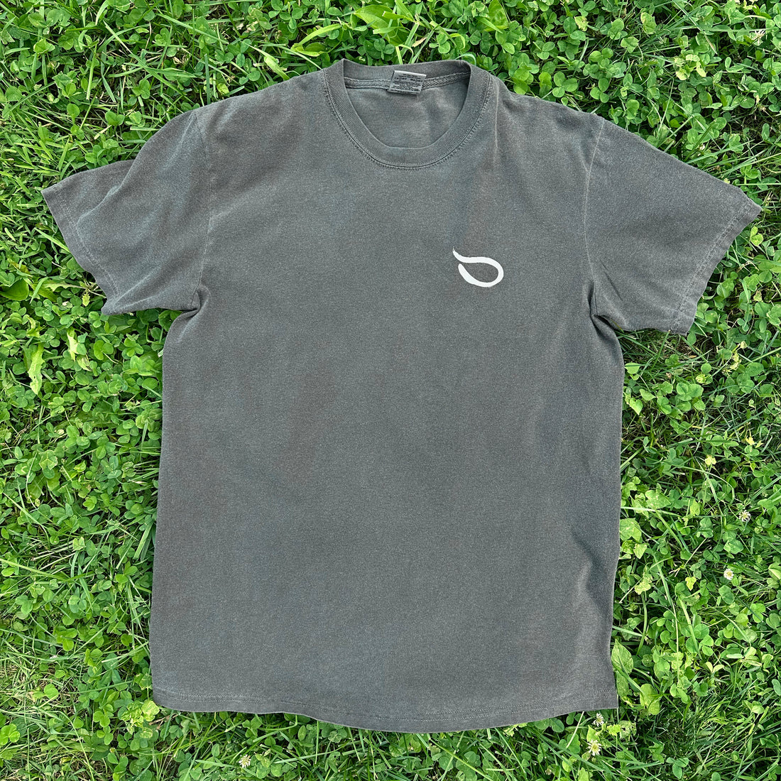 Gray Hudson Valley Seed Co logo T-shirt with washed black color, showcasing a casual cotton gift shop apparel.