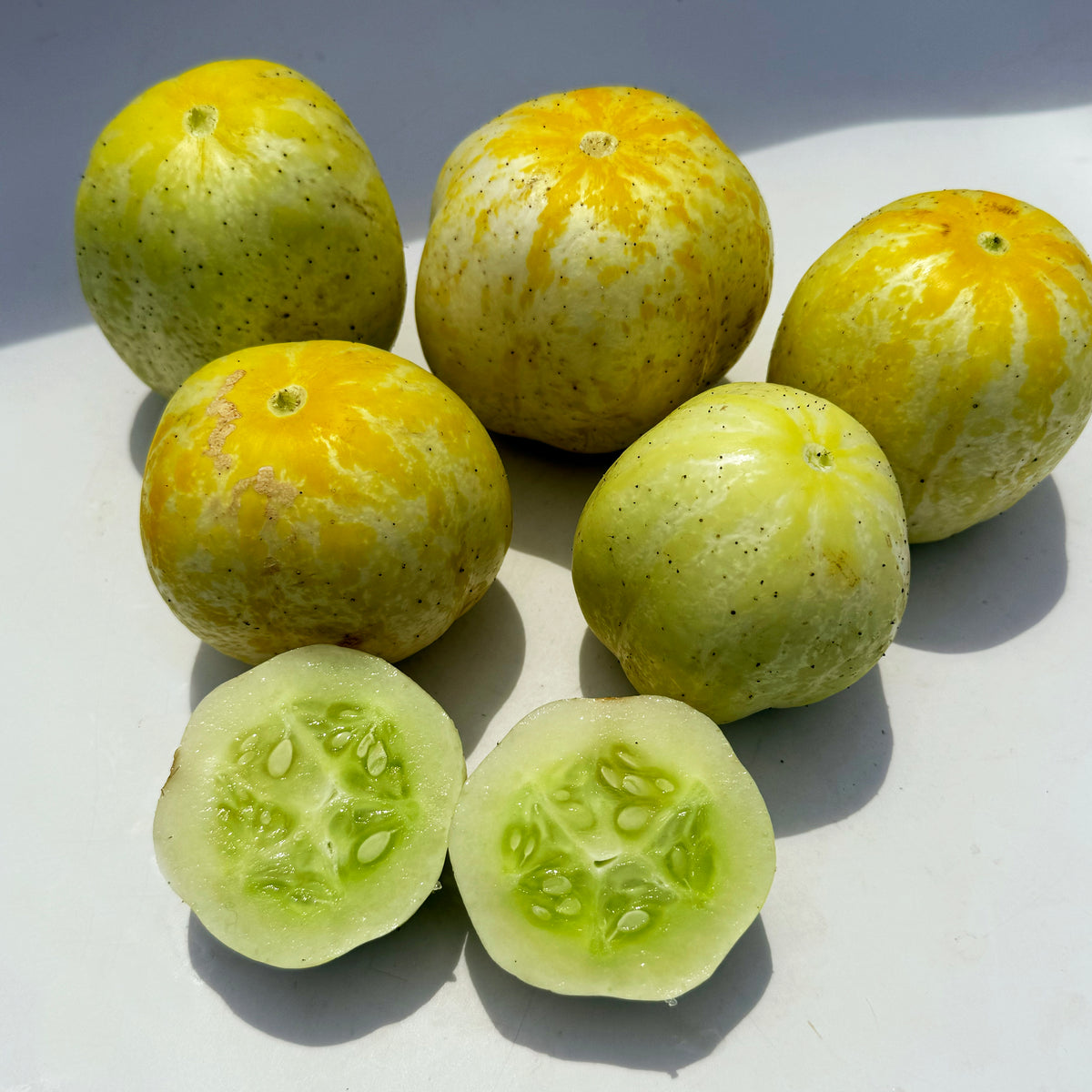 Fresh lemon cucumbers from Hudson Valley Seed Co., green elongated vegetables with smooth skin and vibrant color.