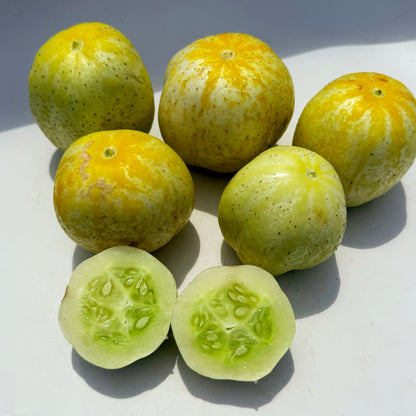 Fresh lemon cucumbers from Hudson Valley Seed Co., green elongated vegetables with smooth skin and vibrant color.
