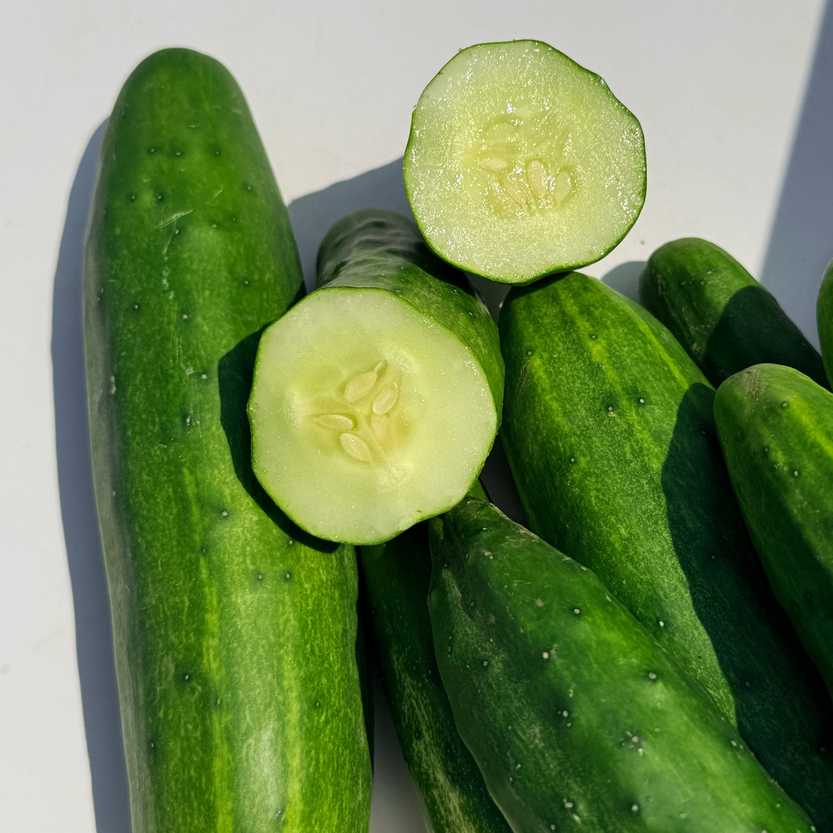 Fresh Marketmore 76 cucumber from Hudson Valley Seed Co., showcasing its vibrant green skin and elongated shape.