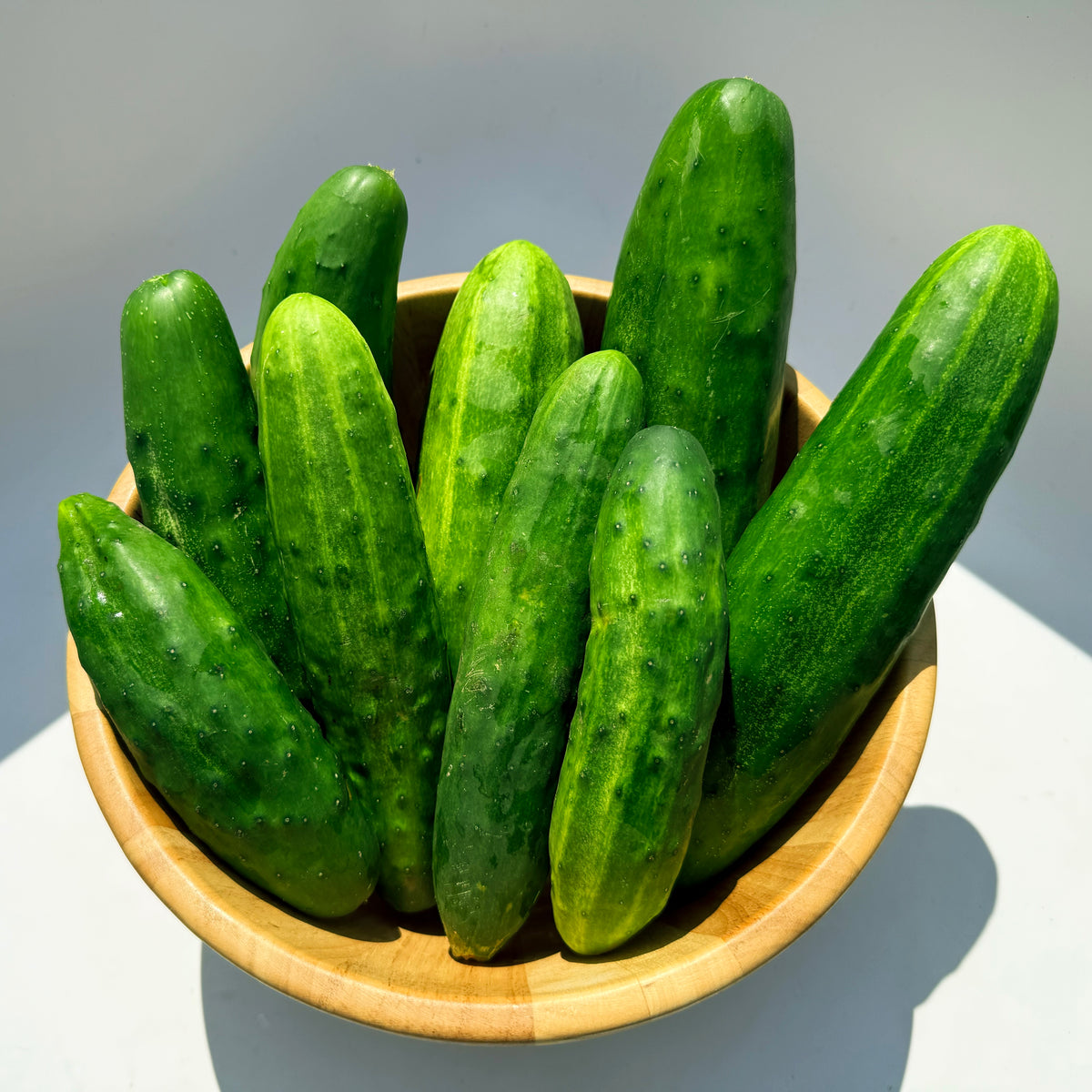 Fresh Marketmore 76 cucumber from Hudson Valley Seed Co. showing vibrant green skin and elongated shape, ideal for salads and snacking.