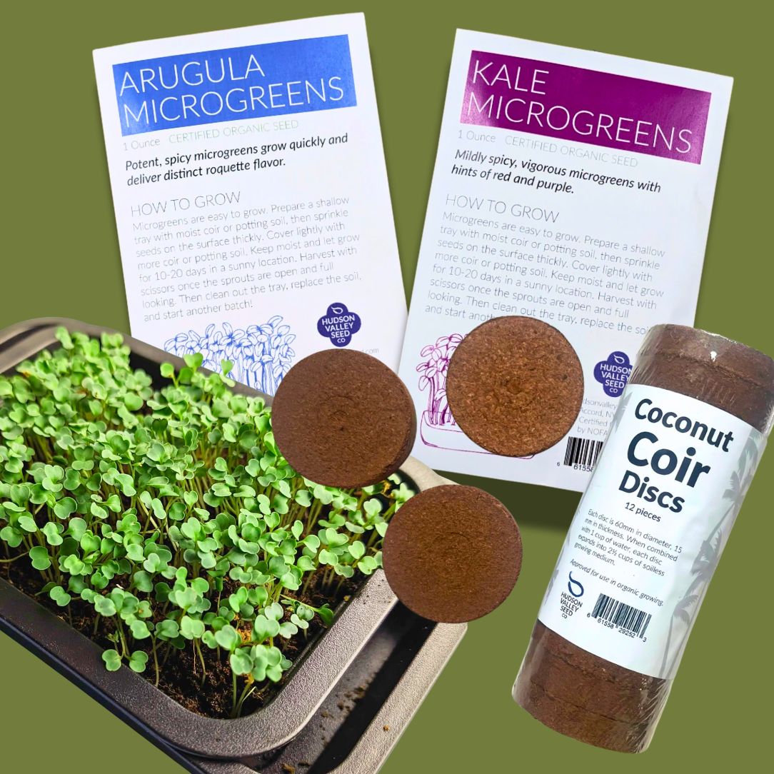 Hudson Valley Seed Co. Microgreens Starter Kit with seeds, soil, and containers for growing fresh vegetable microgreens at home.