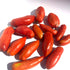 Fresh Opalka tomatoes from Hudson Valley Seed Co., showcasing vibrant red, elongated vegetables with smooth skin and ripe appearance.