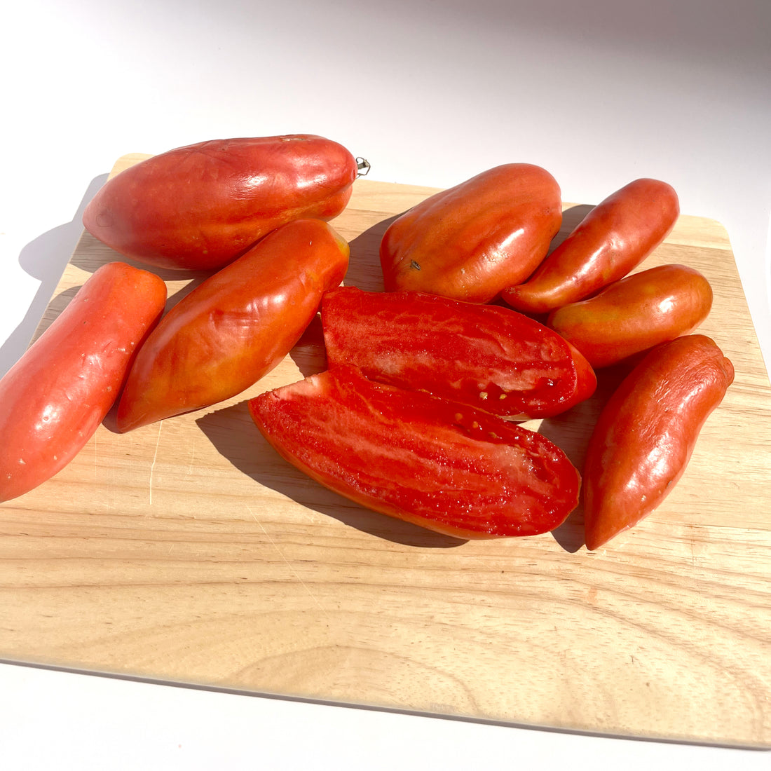 Bright red Opalka tomato from Hudson Valley Seed Co., showcasing its elongated shape and smooth skin.