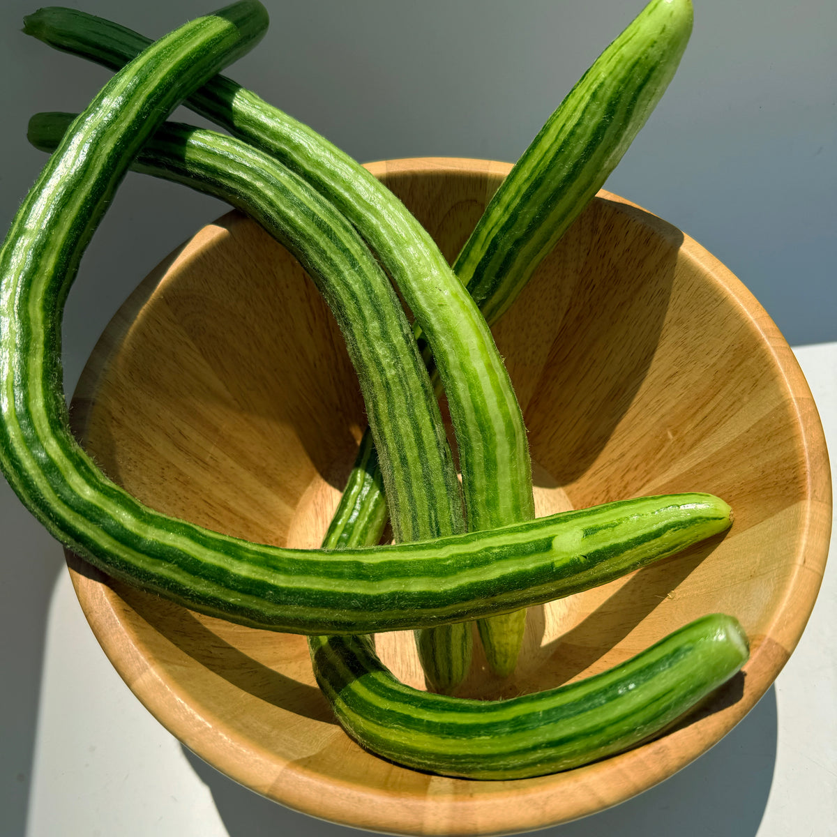 Painted Serpent cucumber vegetable from Hudson Valley Seed Co., featuring vibrant green and yellow striped skin and elongated shape.