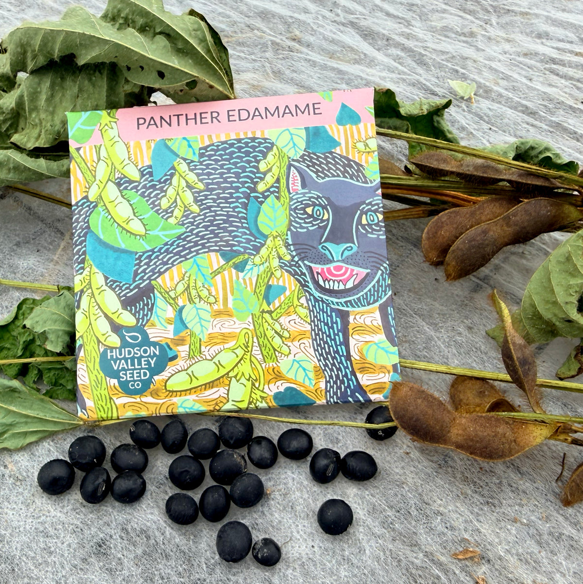 Fresh Panther Edamame soybean vegetables by Hudson Valley Seed Co., showing vibrant green edamame pods ready for cooking.