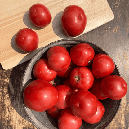 Plate of Haiti Tomato vegetables from Hudson Valley Seed Co. displayed on a plate, showcasing fresh, ripe Haitian tomatoes.