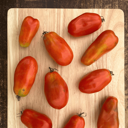 Healthy San Marzano tomato seedlings from Hudson Valley Seed Co., ready for planting in vegetable gardens.