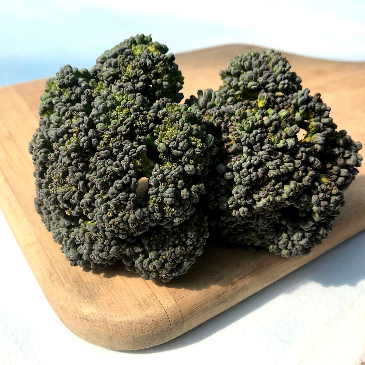 Fresh green Solstice Broccoli vegetable from Hudson Valley Seed Co. showcasing vibrant, healthy broccoli heads ready for cooking.