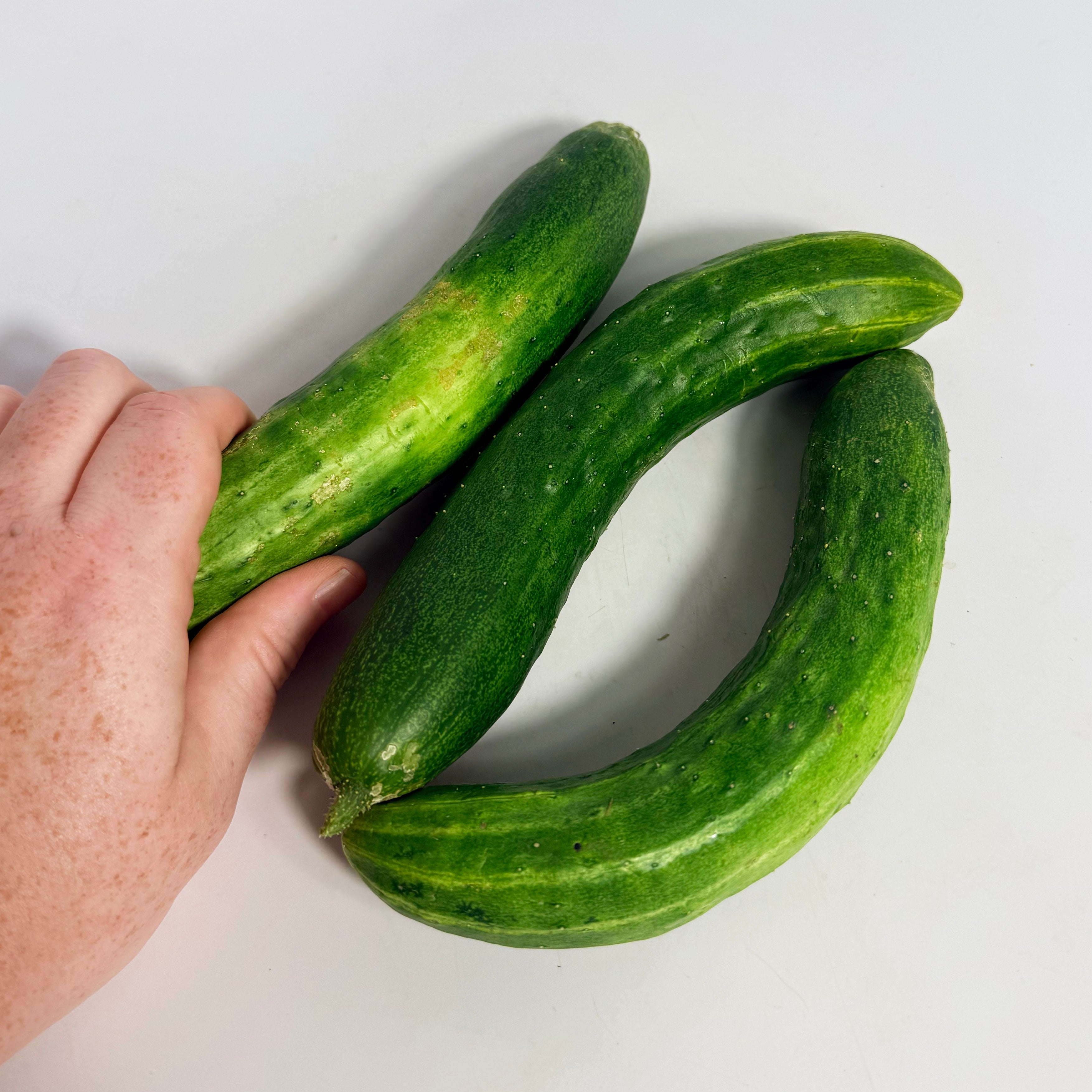 Tokiwa Cucumber