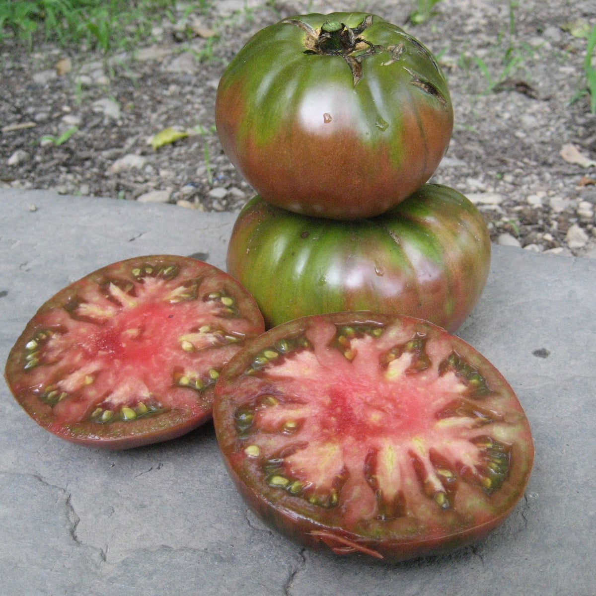 Black Krim tomato vegetable from Hudson Valley Seed Co., ripe black and red heirloom tomato on vine with green leaves