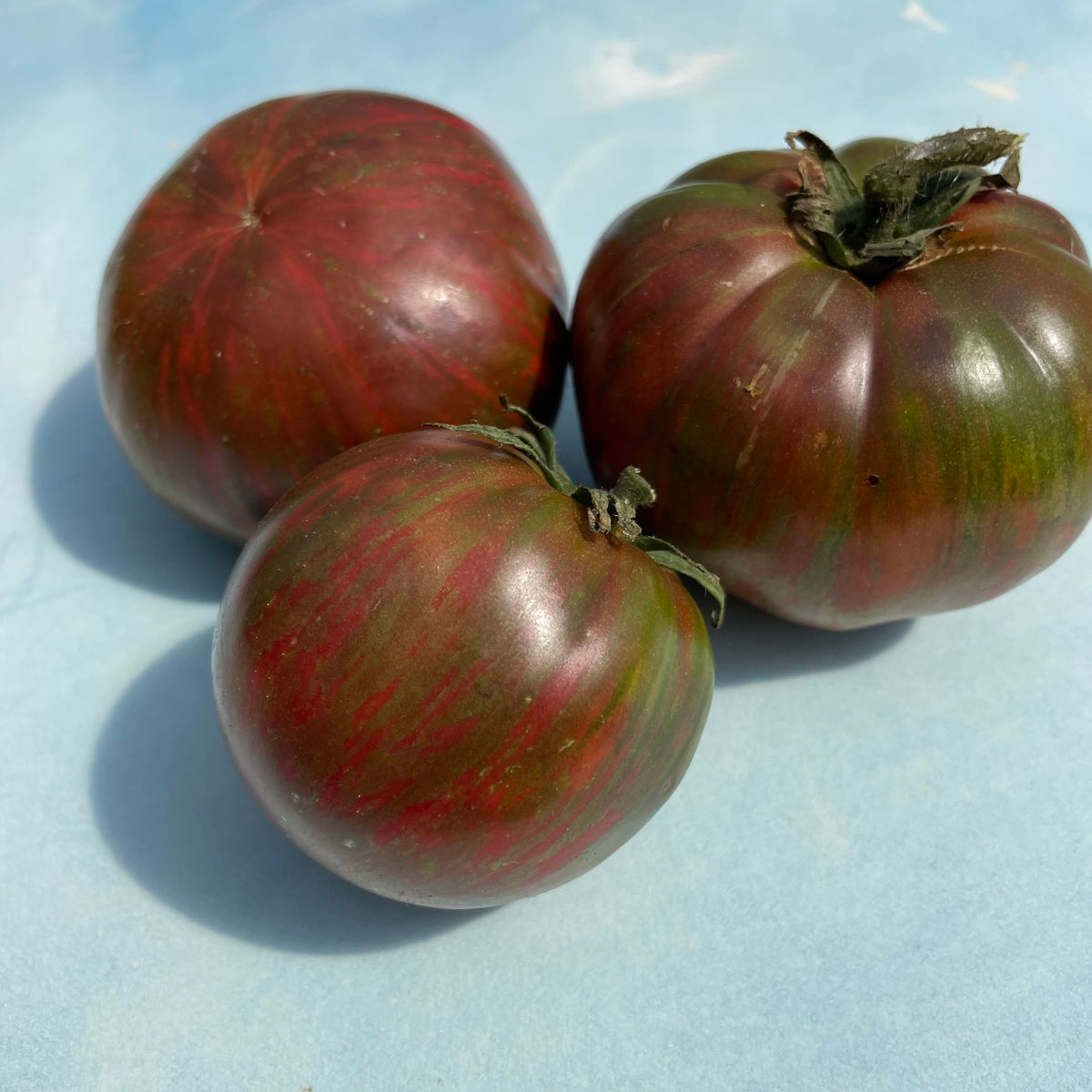 Pink tie-dye tomato from Berkeley, a colorful vegetable with vibrant pink and red patterns, grown by vendor-unknown.