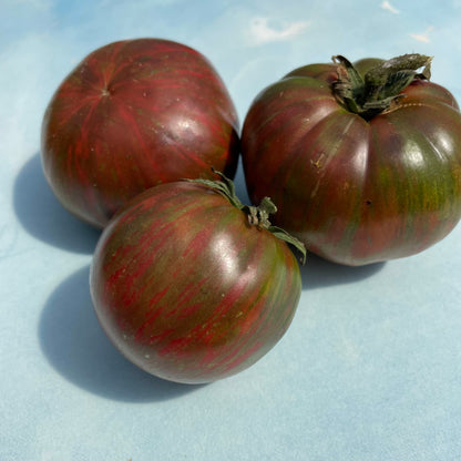 Pink tie-dye tomato from Berkeley, a colorful vegetable with vibrant pink and red patterns, grown by vendor-unknown.