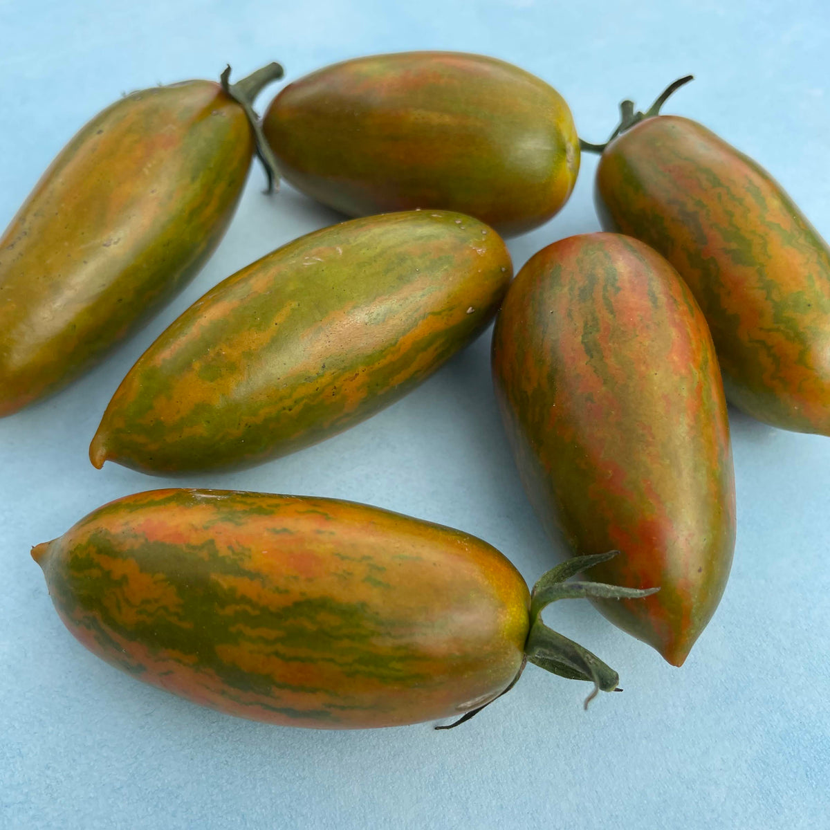 Fresh green tiger tomato, vibrant and ripe vegetable from vendor-unknown, showcasing its striped green and yellow skin.