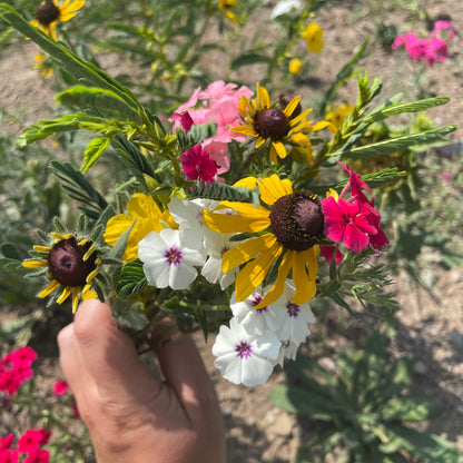 Assorted colorful flowers from the For the Birds Flower Mix by Hudson Valley Seed Co. arranged in a garden setting