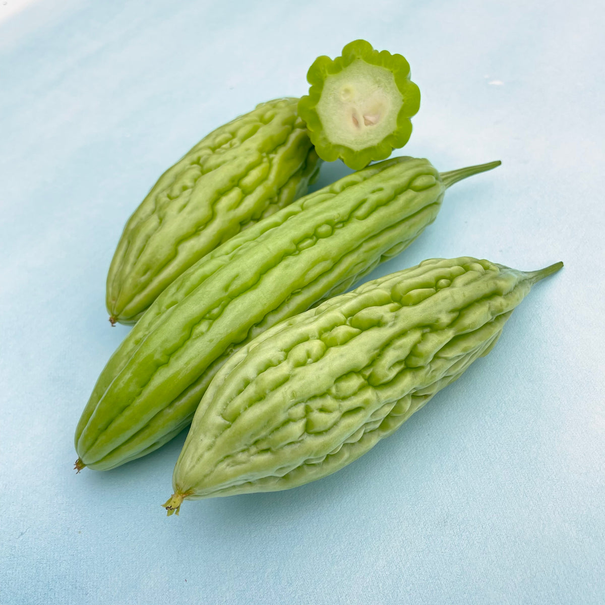 Fresh green bitter melon vegetable from Hudson Valley Seed Co., showcasing its textured, ridged skin and elongated shape.