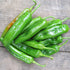 Fresh Anaheim hot pepper vegetable from Hudson Valley Seed Co. showing vibrant, shiny orange and green peppers on the plant.