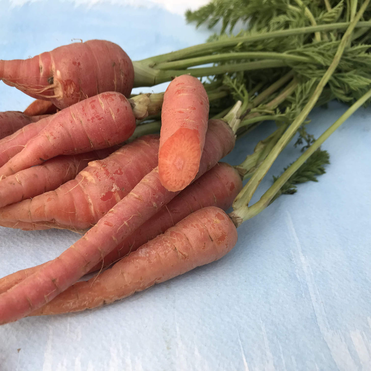 Fresh atomic-red carrot from Hudson Valley Seed Co., showcasing vibrant color and crisp texture in a vegetable display.