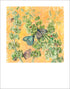 Signed Bells of Ireland art print by Hudson Valley Seed Co., showcasing detailed botanical illustration on fine art paper.