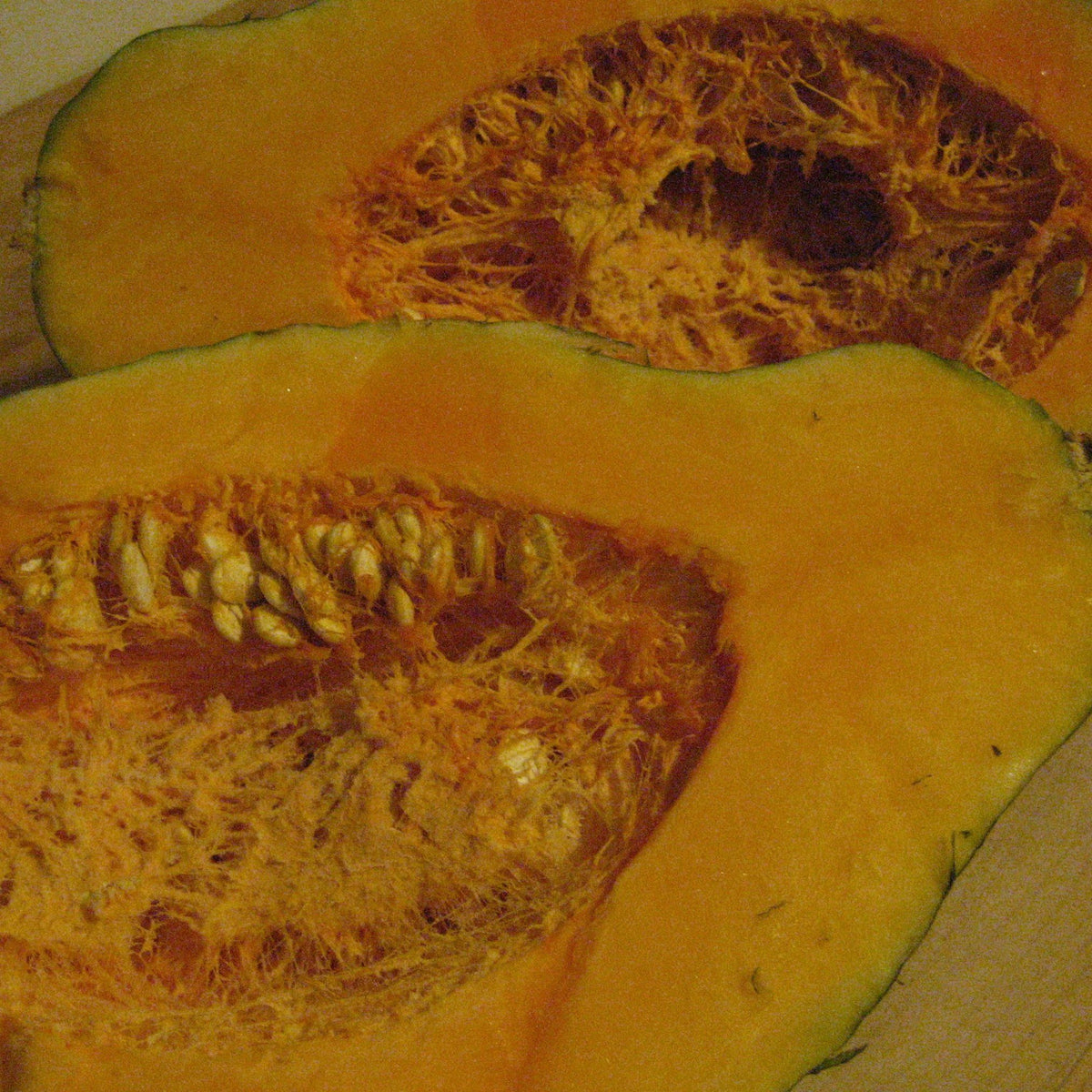 Blue Hubbard squash from Hudson Valley Seed Co., large blue vegetable with smooth skin and round shape, displayed outdoors.