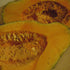 Blue Hubbard squash from Hudson Valley Seed Co., large blue vegetable with smooth skin and round shape, displayed outdoors.