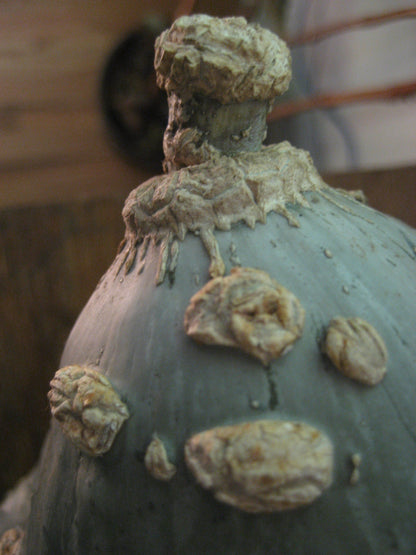 Blue Hubbard squash from Hudson Valley Seed Co, showcasing its large, blue, ridged vegetable with a thick stem on a vendor stand.
