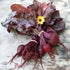 Fresh Bulls Blood beets from Hudson Valley Seed Co., showcasing vibrant red roots and lush green leaves on a farm stand.