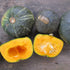 Fresh Burgess Buttercup Squash from Hudson Valley Seed Co., showcasing its distinctive green and orange striped vegetable.