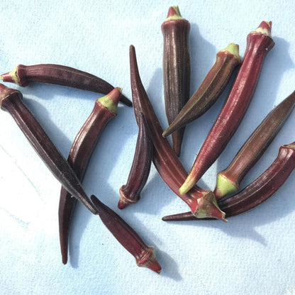 Fresh Burgundy okra vegetables from Hudson Valley Seed Co., showcasing their vibrant color and plump, tender pods.