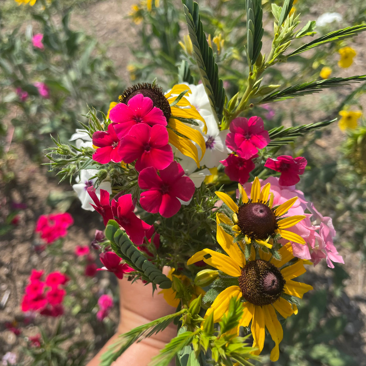 Colorful flower mix from Hudson Valley Seed Co. featuring vibrant blooms and lush greenery in a diverse, natural floral arrangement.