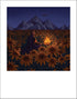 Signed fine art print of Rudbeckia flowers by Hudson Valley Seed Co., featuring vibrant botanical illustration and detailed flower imagery.