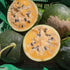 Fresh Cekirdegi Oyali watermelon from Hudson Valley Seed Co., showcasing vibrant green rind and juicy red interior.