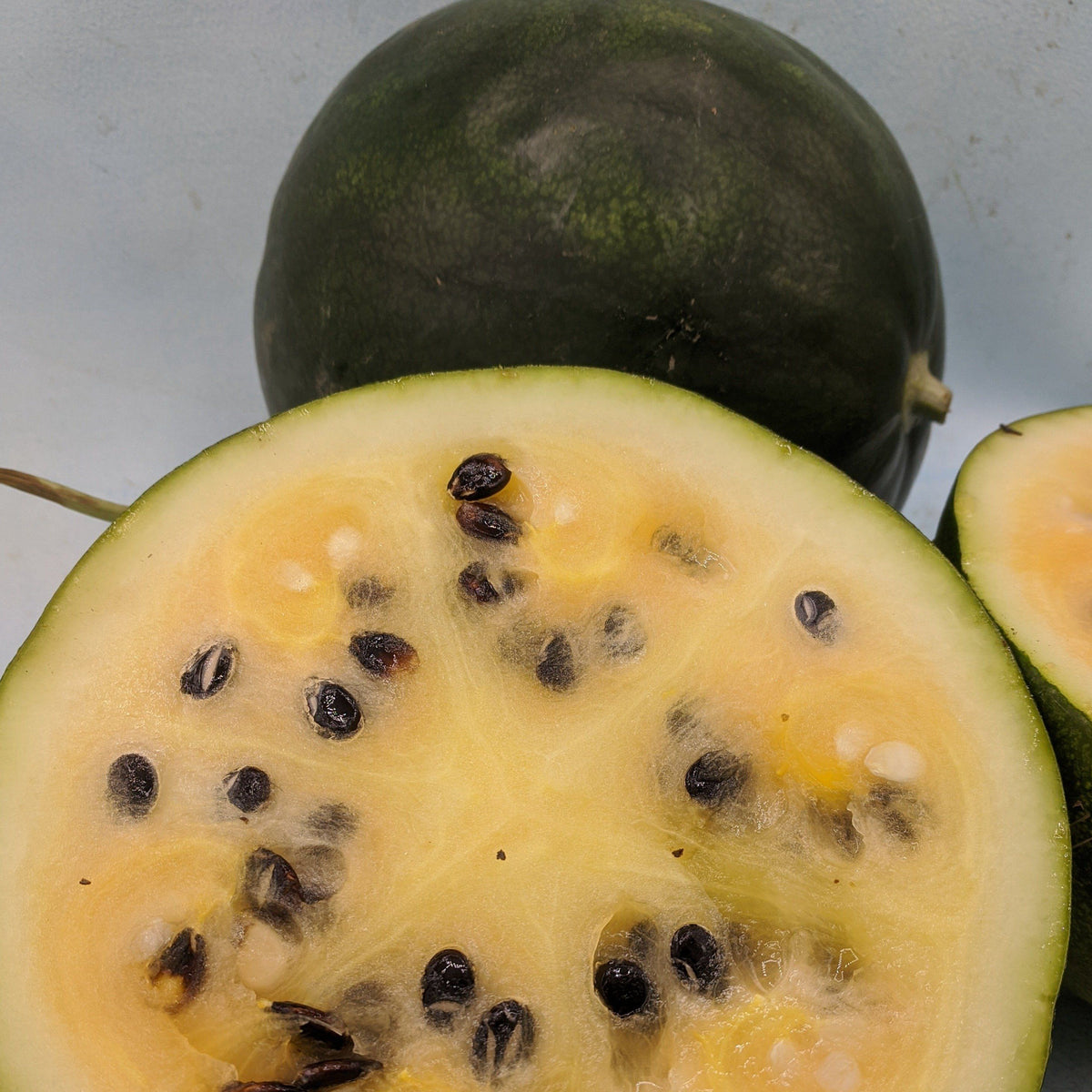 Fresh Cekirdegi Oyali Watermelon from Hudson Valley Seed Co., showcasing its vibrant green rind and juicy interior.