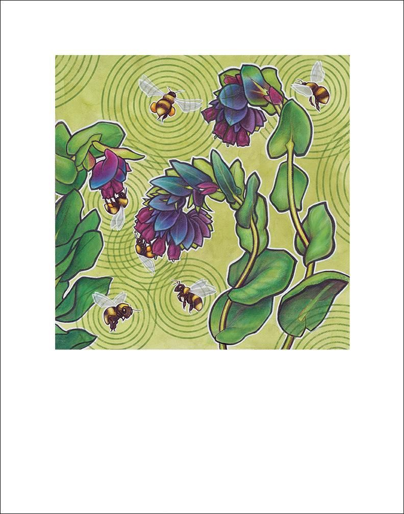 Cerinthe fine art print by Hudson Valley Seed Co., featuring vibrant botanical illustration with signed detail on textured paper.