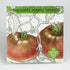 Heirloom Cherokee Purple tomato from Hudson Valley Seed Co. showcasing ripe, deep purple vegetables with a smooth skin.