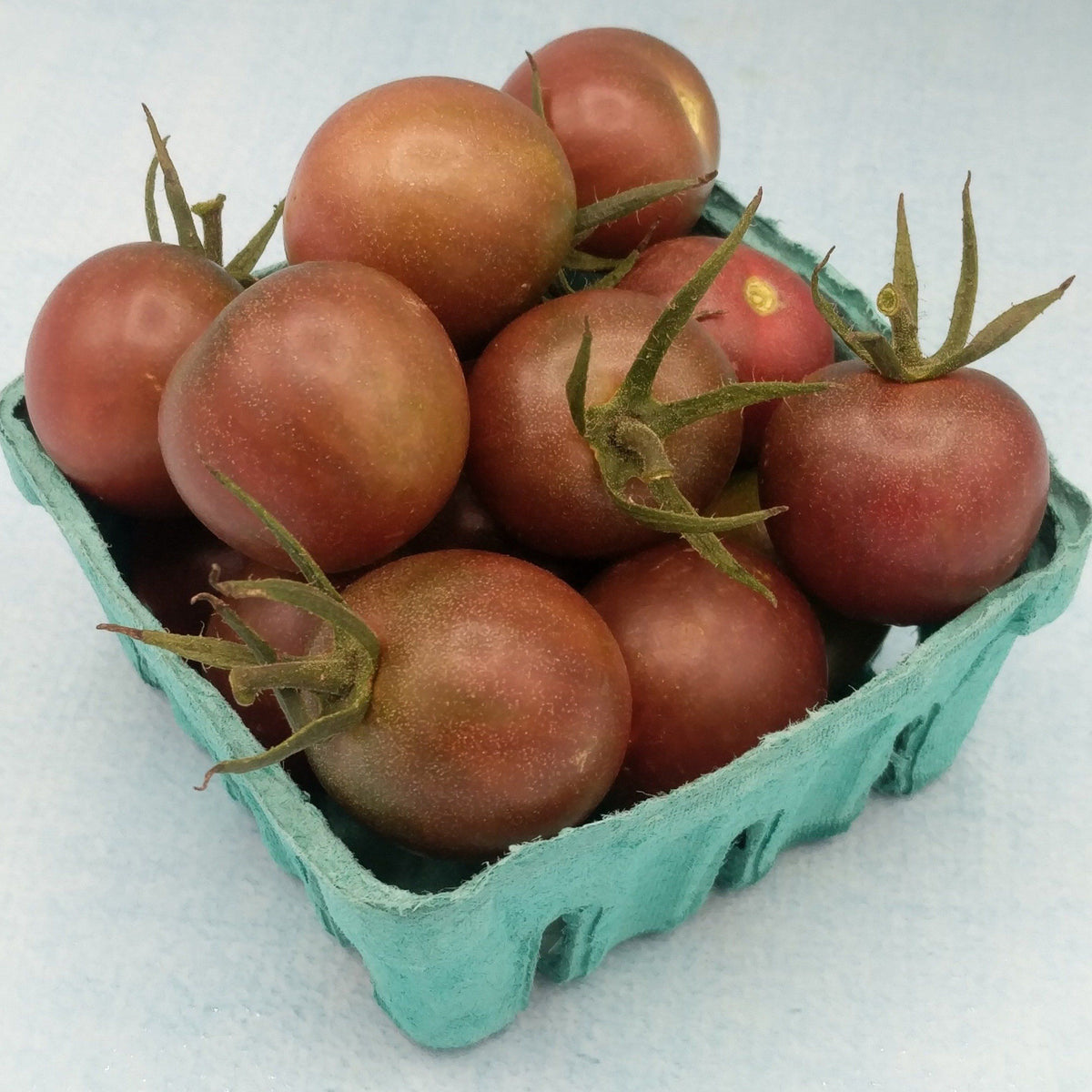 Chocolate cherry tomato from Hudson Valley Seed Co., small round dark brown vegetables with a glossy surface, displayed by a vendor.