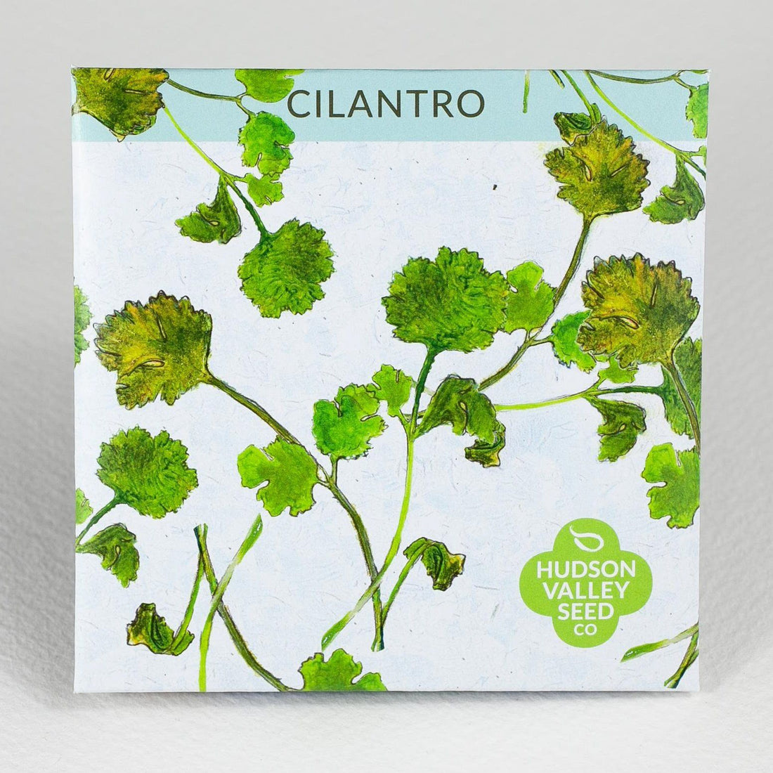 Cilantro / Coriander vendor-unknown