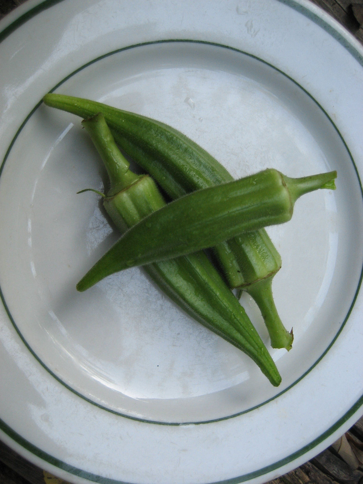Fresh Clemson Spineless Okra vegetables from Hudson Valley Seed Co., showing vibrant green pods on a farm stand.