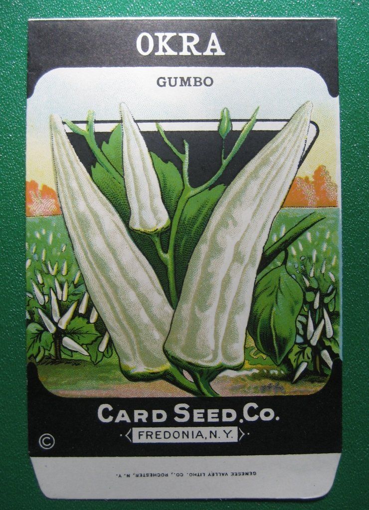 Fresh Clemson Spineless Okra vegetables from Hudson Valley Seed Co., shown in a vendor display.
