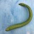 Cucuzzi gourd vegetable from Hudson Valley Seed Co., showing elongated, ridged green gourd with textured skin.