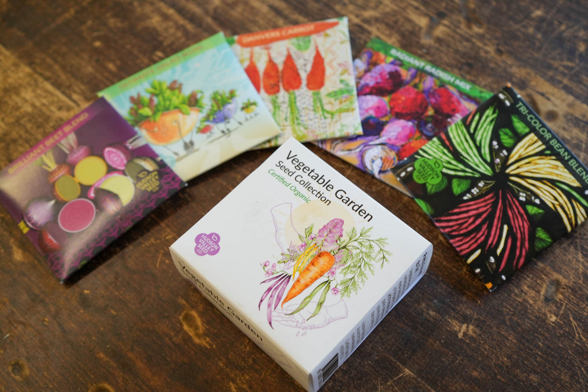 Fresh vegetable garden seeds from Hudson Valley Seed Co., arranged in a collection with colorful packets and lush greenery.