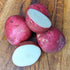Dark red Norland potato from Hudson Valley Seed Co. shown in a vendor setting, highlighting its smooth skin and rich color.