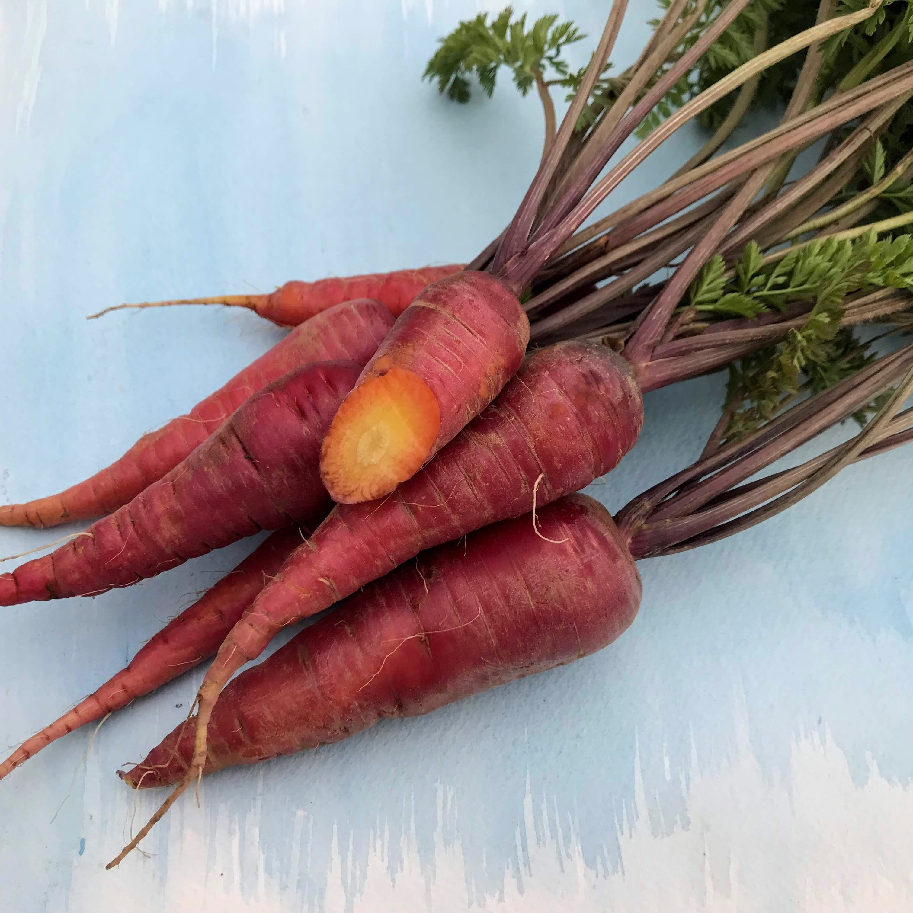 Fresh Dragon Carrots, vibrant orange and purple heirloom vegetables from Hudson Valley Seed Co. displayed on a farmer's stand.