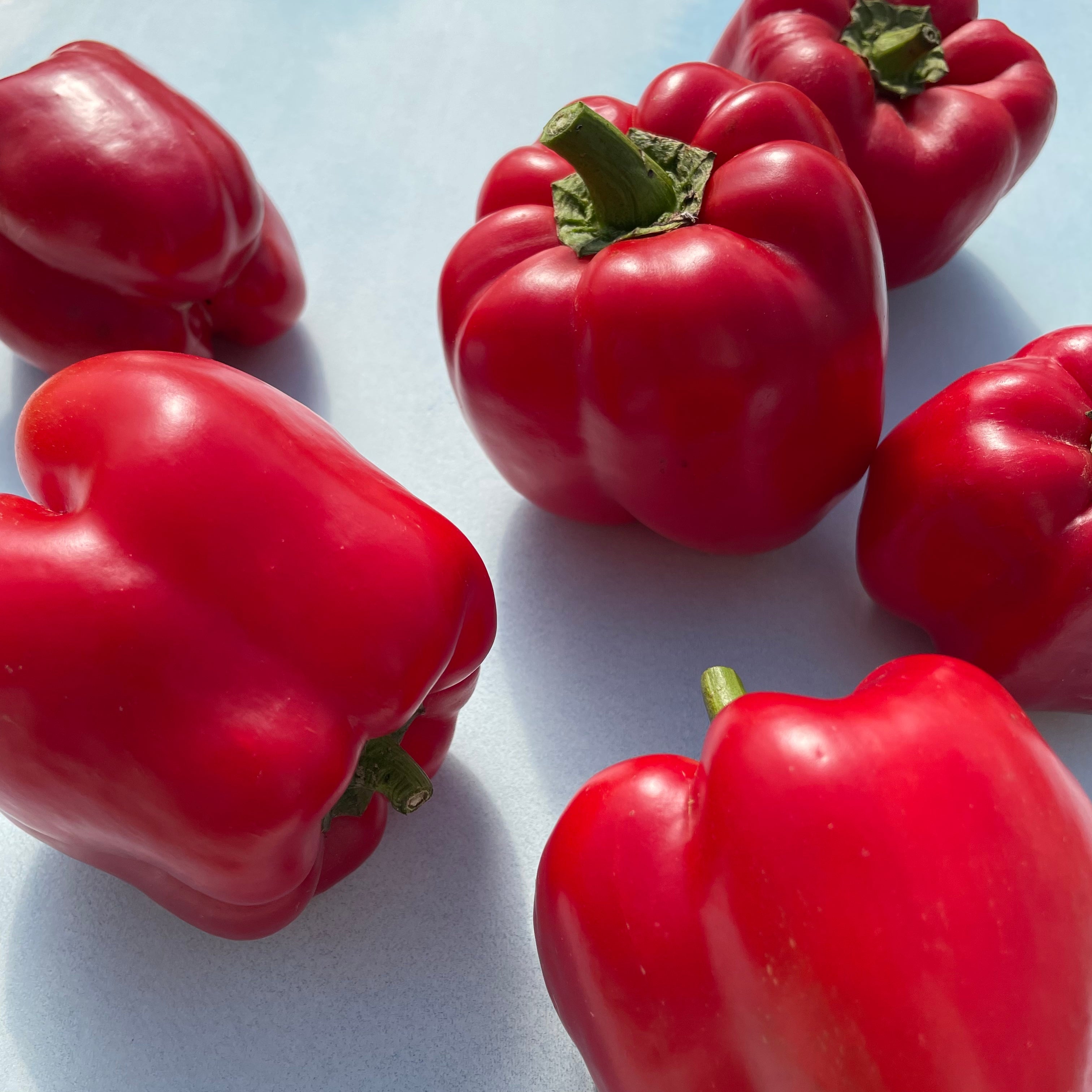 Fresh King of the North peppers from Hudson Valley Seed Co., showcasing vibrant green, elongated vegetables on a rustic surface.