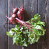 Fresh Early Wonder Tall Top Beet from Hudson Valley Seed Co., showcasing its vibrant green foliage and round, deep red root.