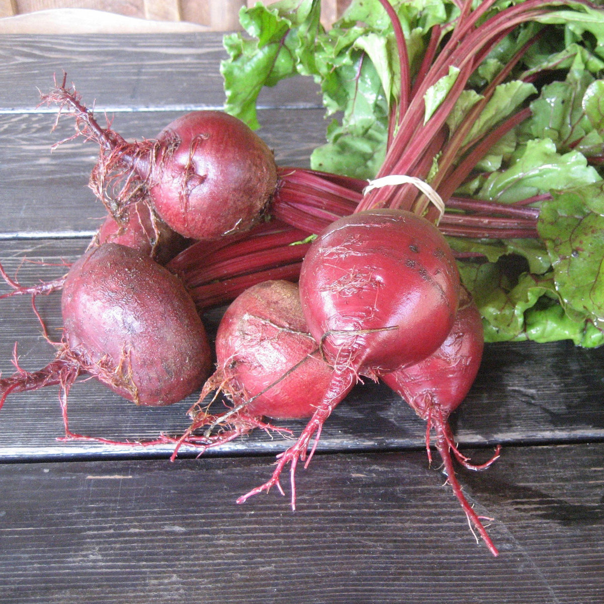 Fresh early Wonder Tall Top Beet vegetable from Hudson Valley Seed Co., showing vibrant green leaves and deep red roots.