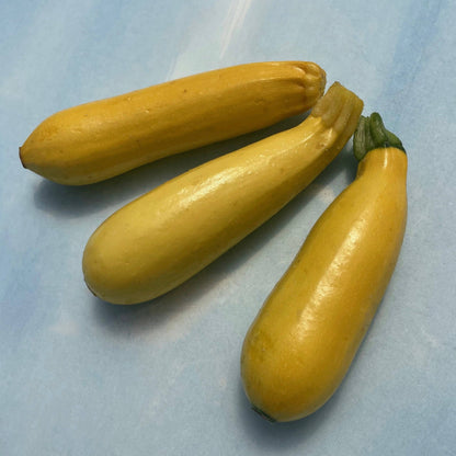 Golden zucchini vegetable displayed with vibrant yellow skin, fresh and ripe, suitable for cooking or salads.